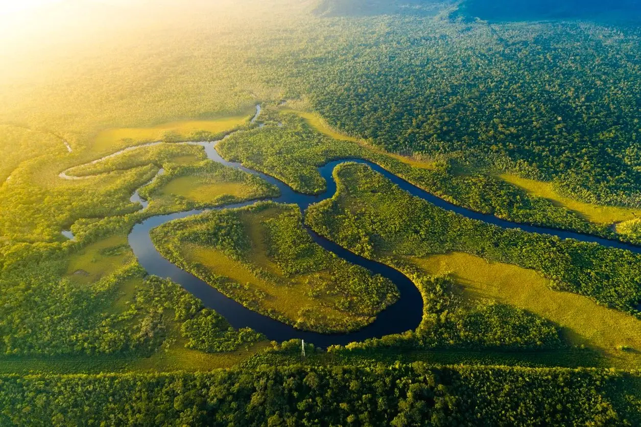 Aerial view of a meandering river through the Amazon rainforest